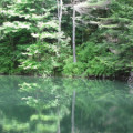 Monk's Pond at Kripalu Yoga & Wellness Center, Berkshire Mountains, MA.