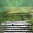 Finding the answers to your biggest questions