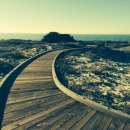 10 things I tell clients in transition