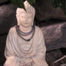 mindfulness