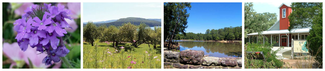 Updated April Retreat Photo Strip